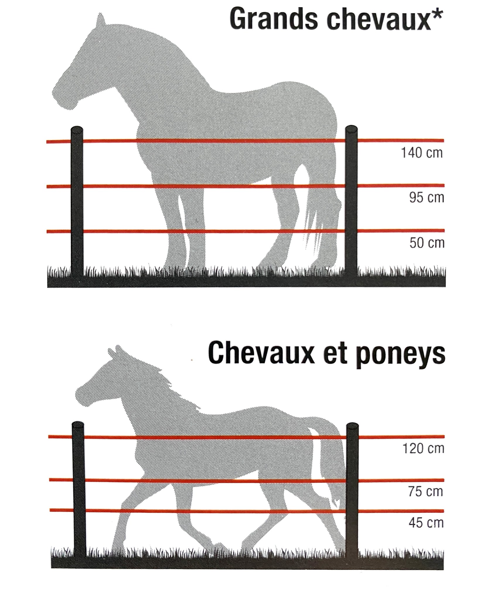 clôture-cheval