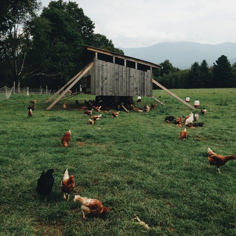 Everything you need to know about installing an electric fence net 