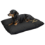 BODYGUARD Elegant Kussen S Zwart