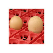 Couveuse 24 oeufs automatique - ET 24 Couveuse 24 oeufs automatique - ET 24