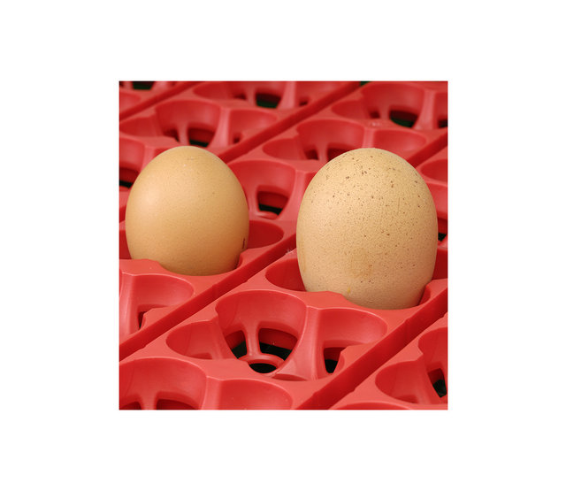 Incubator 24 eggs, automatic - ET 24 Incubator 24 eggs, automatic - ET 24