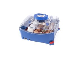 Automatic incubator Lumia 16 eggs