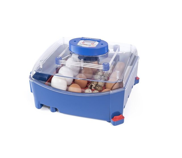 Automatic incubator Lumia 16 eggs - Borotto Automatic incubator Lumia 16 eggs - Borotto