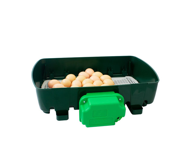Incubator 24 eggs, automatic - ET 24 Incubator 24 eggs, automatic - ET 24