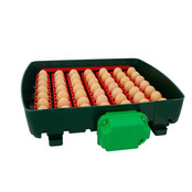Incubator 49 eggs, automatic - ET 49 Incubator 49 eggs, automatic - ET 49