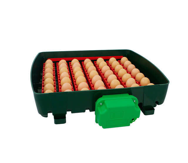 Incubator 49 eggs, automatic - ET 49 Incubator 49 eggs, automatic - ET 49