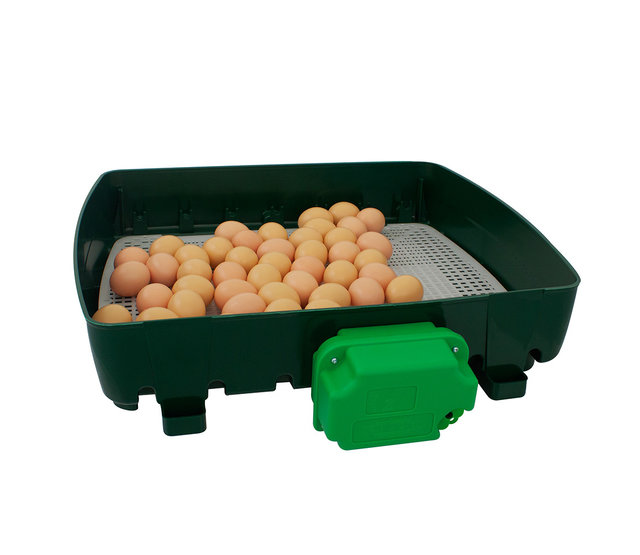 Incubator 49 eggs, automatic - ET 49 Incubator 49 eggs, automatic - ET 49