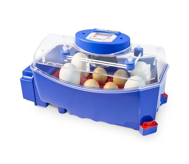 Automatic incubator Lumia 8 eggs - Borotto