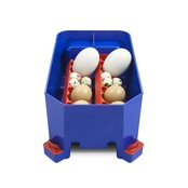 Lumia 8 eieren automatische broedmachine - Borotto