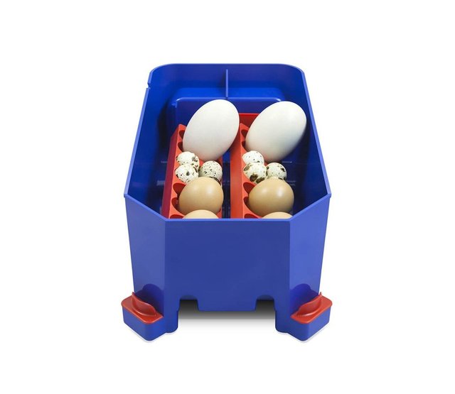 Automatic incubator Lumia 8 eggs - Borotto