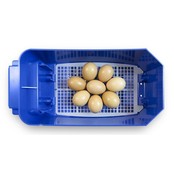 Automatic incubator Lumia 8 eggs - Borotto