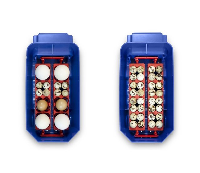 Automatic incubator Lumia 8 eggs - Borotto