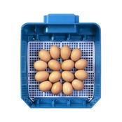 Automatic incubator Lumia 16 eggs - Borotto Automatic incubator Lumia 16 eggs - Borotto