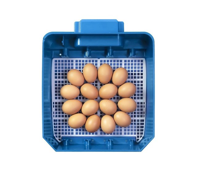 Couveuse automatique Lumia 16 oeufs - Borotto