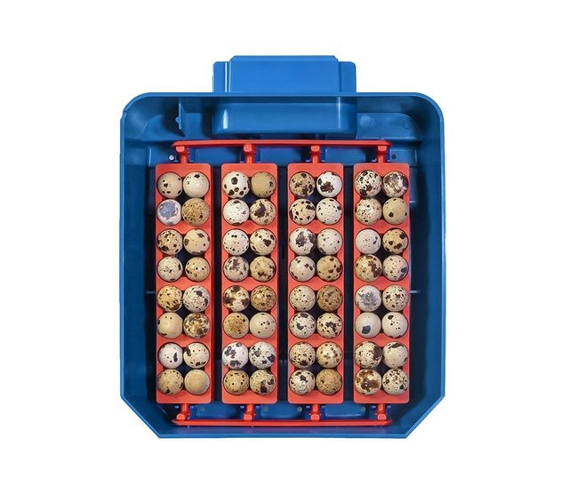 Automatische broedmachine Lumia 16 eieren - Borotto