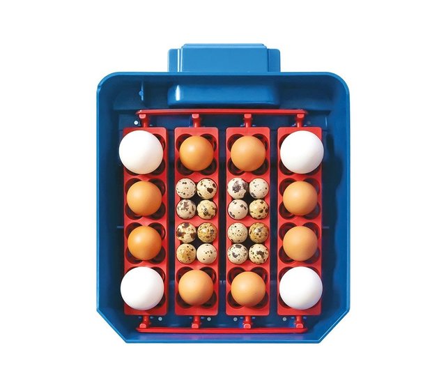 Automatic incubator Lumia 16 eggs - Borotto Automatic incubator Lumia 16 eggs - Borotto