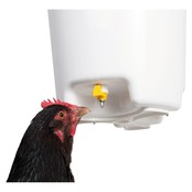 12L pipette water trough - Chick'A