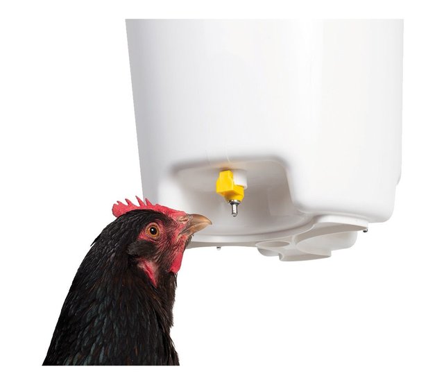 12L pipette water trough - Chick'A