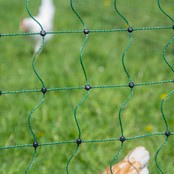 Net 50m h1.20m not electrified