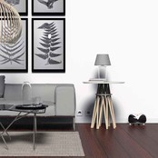 Répulsif à ultrasons sur secteur pour rongeurs 30m² SWISSINNO