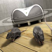 Mains powered ultrasonic rodent repellent Swissinno 30m² SWISSINNO Mains powered ultrasonic rodent repellent Swissinno 30m² SWISSINNO