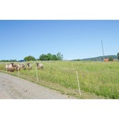 Filet Mouton Orange 0.90m - 50m Filet Mouton Orange 0.90m - 50m