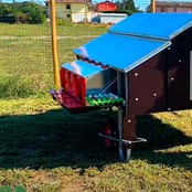 30 hens hen house - Copele