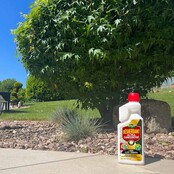 Biocontrol weedkiller Yards - Driveways - Terraces