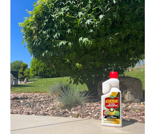 Biocontrol weedkiller Yards - Driveways - Terraces