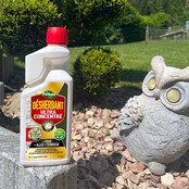 Biocontrole onkruidverdelger Tuinen - Opritten - Terrassen