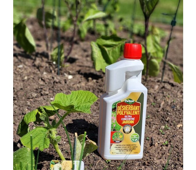 Concentrated biocontrol weedkiller, 1L Garden