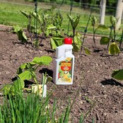 Concentrated biocontrol weedkiller, 1L Garden