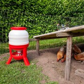 Mangeoire pour poules avec pieds, 20L - Copele