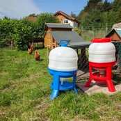 Water trough for hens with legs, 40L - Copele