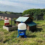 Water trough for hens with legs, 20L - Copele Water trough for hens with legs, 20L - Copele
