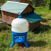 Water trough for hens with legs, 20L - Copele Water trough for hens with legs, 20L - Copele