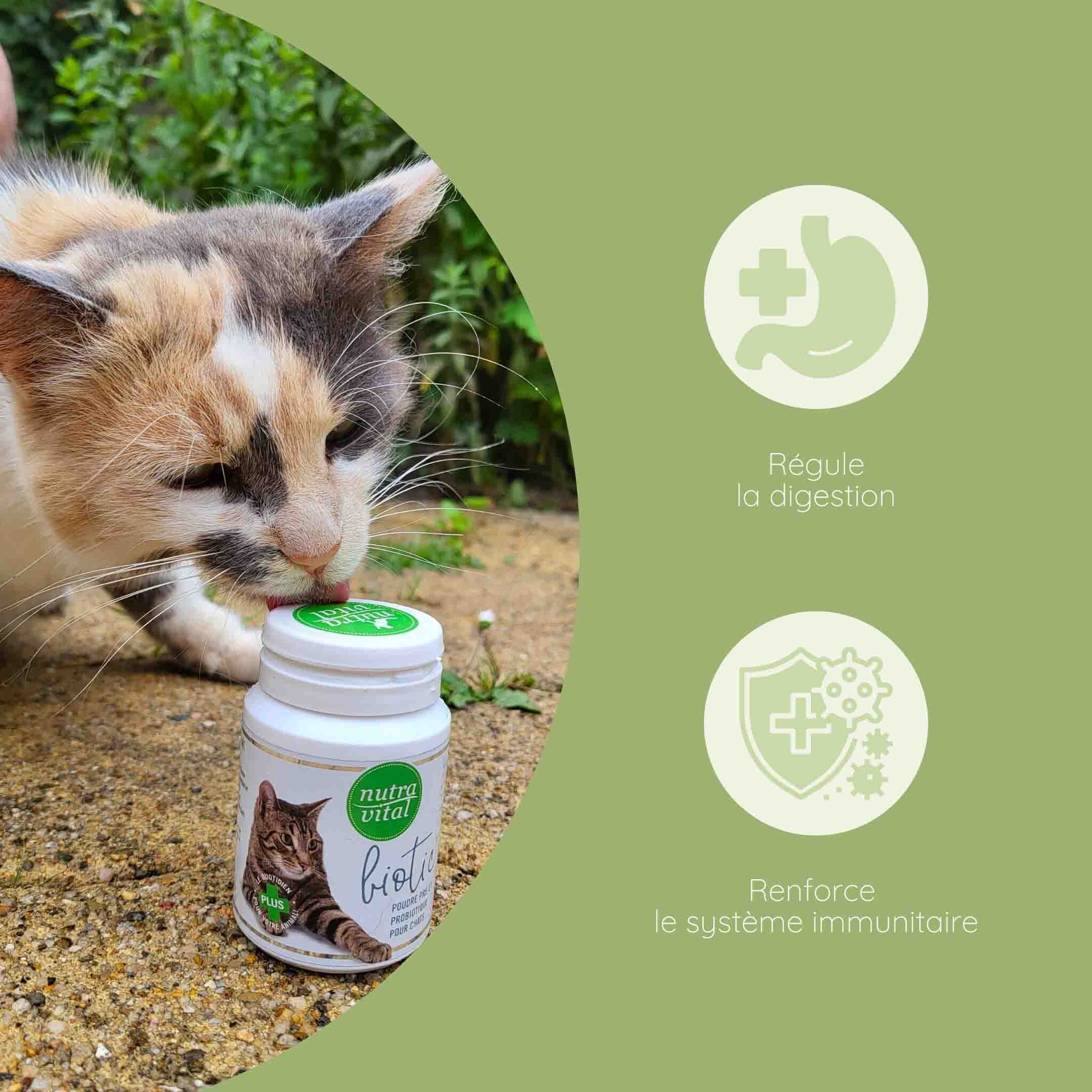 Aliment complémentaire probiotique pour chat 40g