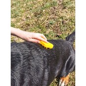 Brosse pour grands chiens à poils courts - PETME Brosse pour grands chiens à poils courts - PETME