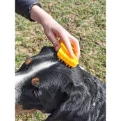 Brosse pour grands chiens à poils courts - PETME Brosse pour grands chiens à poils courts - PETME