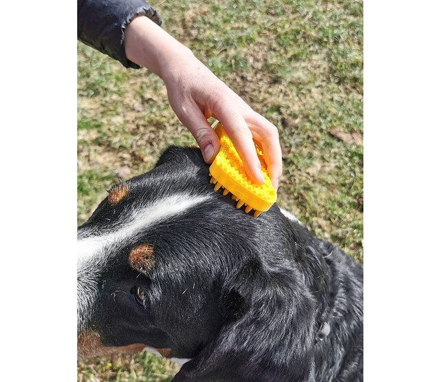 Brosse pour grands chiens à poils courts - PETME Brosse pour grands chiens à poils courts - PETME