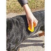Brosse pour grands chiens à poils courts - PETME Brosse pour grands chiens à poils courts - PETME