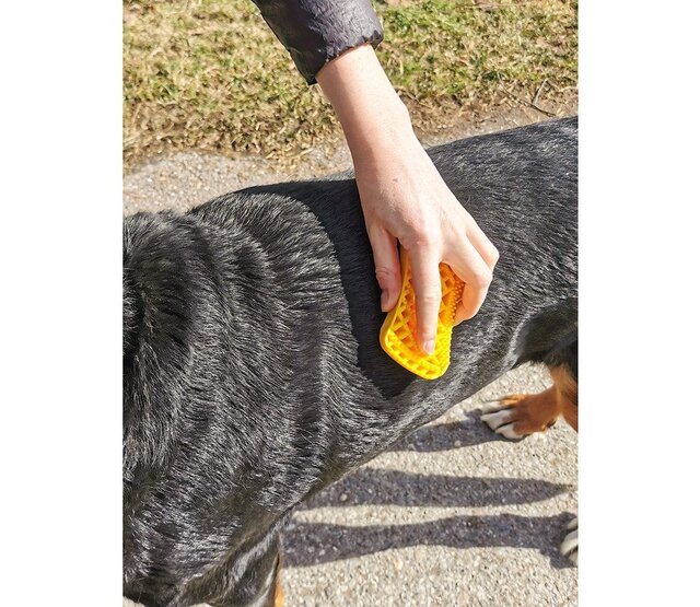 Brosse pour grands chiens à poils courts - PETME Brosse pour grands chiens à poils courts - PETME