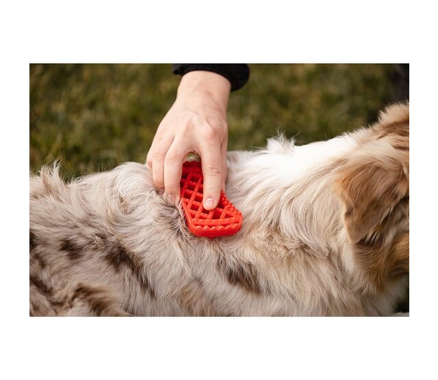 Brosse pour chiens à poils longs - PETME Brosse pour chiens à poils longs - PETME