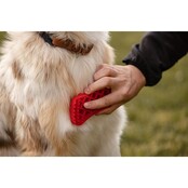 Brosse pour chiens à poils longs - PETME Brosse pour chiens à poils longs - PETME