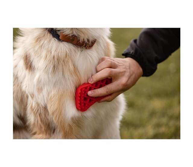 Brosse pour chiens à poils longs - PETME Brosse pour chiens à poils longs - PETME