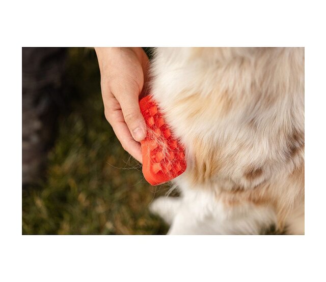 Brosse pour chiens à poils longs - PETME Brosse pour chiens à poils longs - PETME