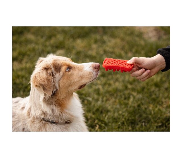 Brosse pour chiens à poils longs - PETME Brosse pour chiens à poils longs - PETME