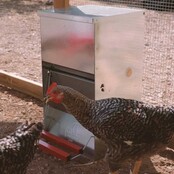 40kg Pest control feeder - Safeed 40kg Pest control feeder - Safeed