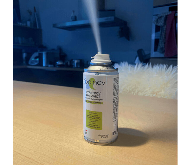 Aerosol PYRETROV One shot: against flying and crawling insects