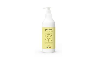 Shampoing démêlant 1 L